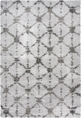 Rizzy Adana AN696A Gray Area Rug Main Image