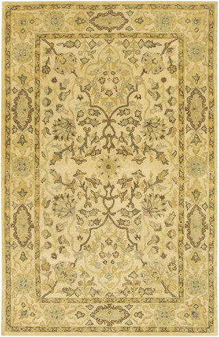 Chandra Adonia ADO-906 Area Rug main image