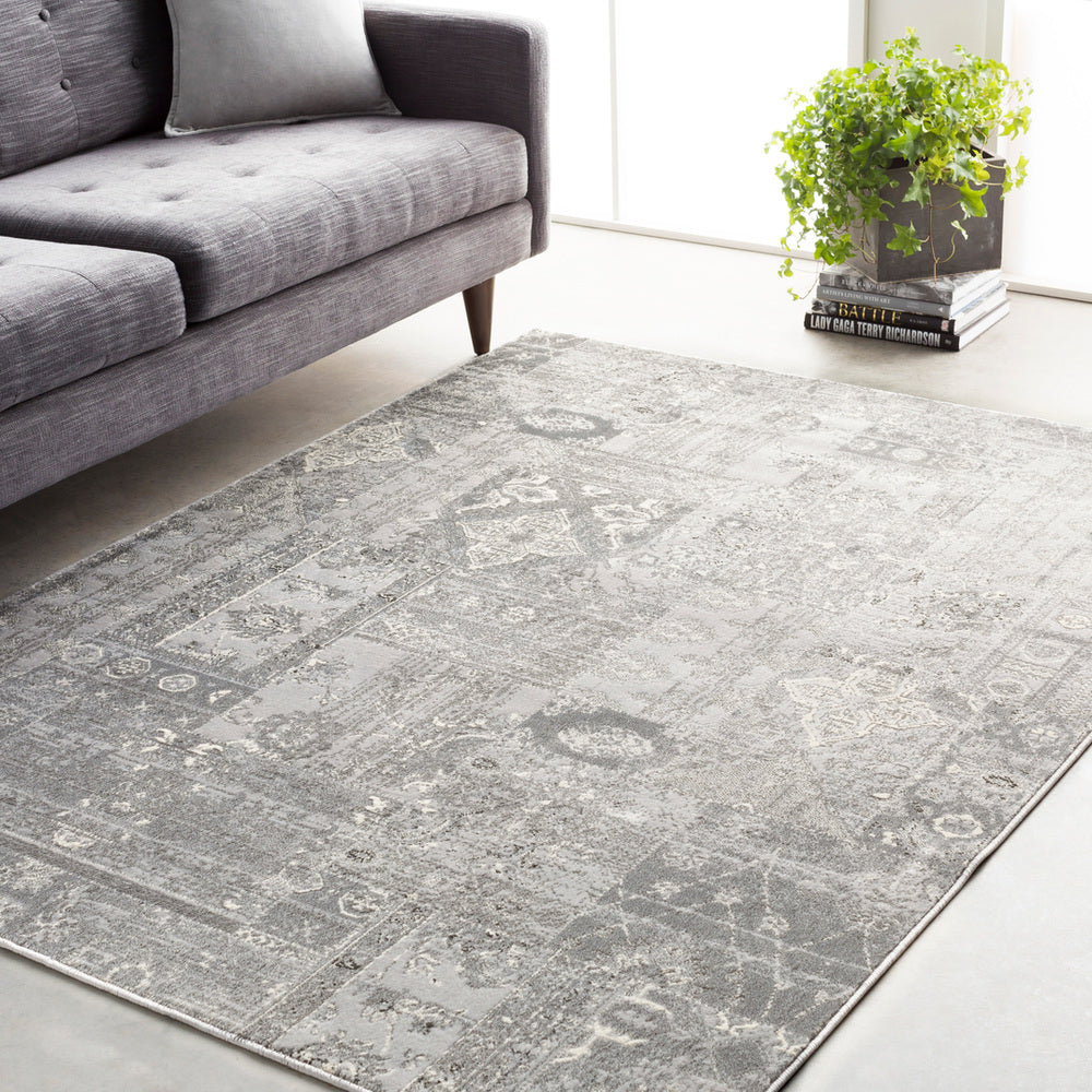 Surya Amadeo ADO-1001 Area Rug Room Scene Feature