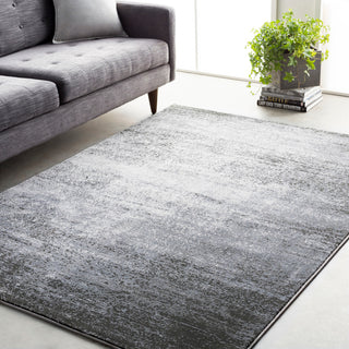 Surya Amadeo ADO-1008 Area Rug Room Image Feature