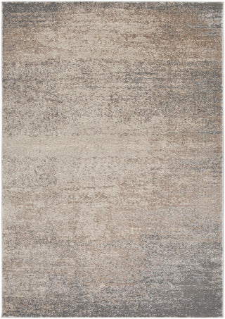 Surya Amadeo ADO-1011 Brown/Neutral Area Rug main image