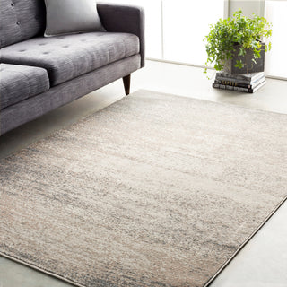 Surya Amadeo ADO-1011 Area Rug Room Image Feature