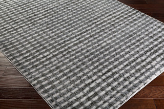 Surya Amadeo ADO-1014 Area Rug Corner Image