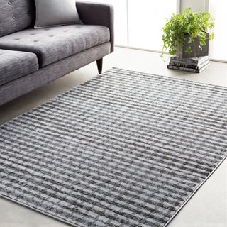 Surya Amadeo ADO-1014 Area Rug Room Image Feature