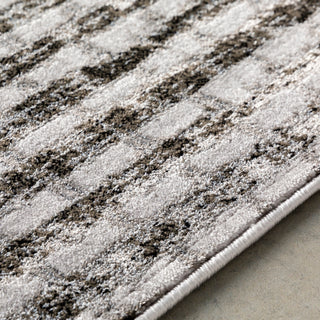 Surya Amadeo ADO-1014 Area Rug Texture Image