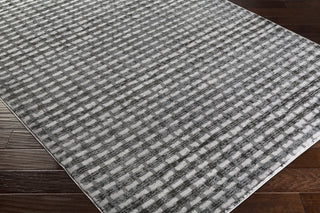 Surya Amadeo ADO-1014 Area Rug Closeup