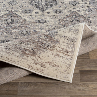 Livabliss Amadeo ADO-1018 Area Rug