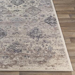 Livabliss Amadeo ADO-1018 Area Rug