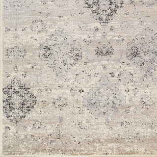 Livabliss Amadeo ADO-1018 Area Rug