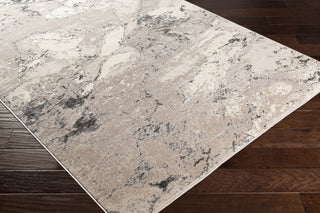 Livabliss Amadeo ADO-1019 Area Rug