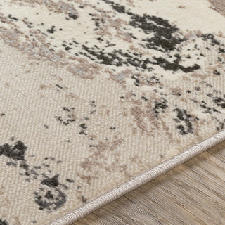 Livabliss Amadeo ADO-1019 Area Rug