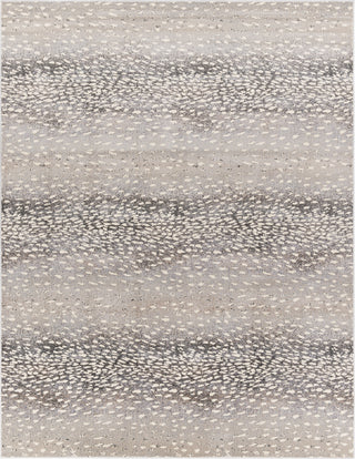 Surya Amadeo ADO-1021 Area Rug