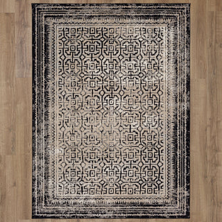 Karastan Rendition Adras Soot Area Rug by Stacy Garcia Main Image