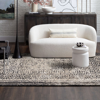 Karastan Rendition Adras Soot Area Rug by Stacy Garcia Lifestyle Image