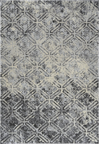 Dalyn Aero AE8 Charcoal Area Rug