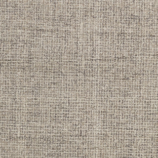 Surya Aiden AEN-1005 Area Rug 18'' Sample Swatch 