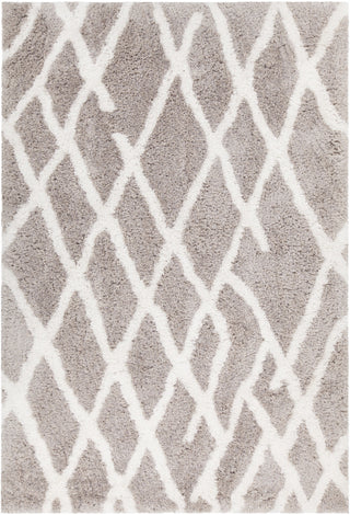 Chandra Aerona AER-40003 Tan/White Area Rug main image