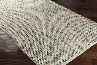 Surya Avera AER-1001 Area Rug Closeup Feature