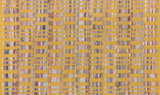 Loloi Aiden HAI01 Yellow Area Rug aerial 2-3 x 3-9