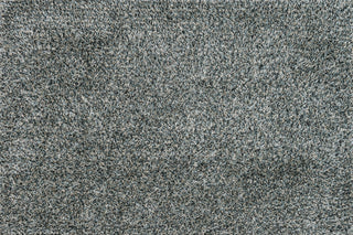 Loloi Carrera Shag CG-02 Mist / Slate Area Rug main image