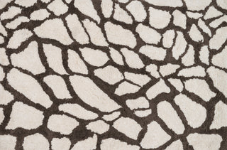 Loloi Kiara Shag KR-04 Ivory / Brown Area Rug aerial 5 x 7-6