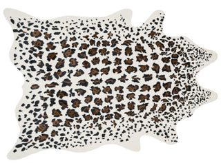 Loloi II Grand Canyon GC-07 Ivory / Brown Area Rug aerial 6-2 x 8