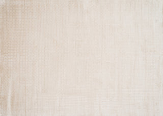 Loloi Westley WE-01 Ivory Area Rug aerial 7-9 x 9-9