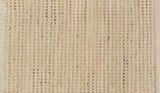 Loloi Porto HPO01 Natural Area Rug aerial 2-3 x 3-9