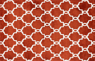 Loloi Charlotte CT-03 Rust Area Rug 3'6'' X 5'6''