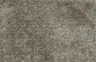 Loloi Carrera Shag CG-02 Sage Area Rug main image