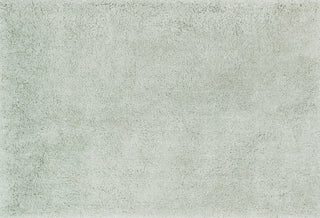 Loloi Cozy Shag CZ-01 Mist Area Rug aerial 5-0 x 7-6