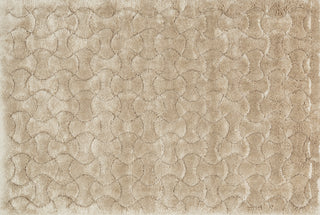 Loloi Dream Shag DR-04 Beige Area Rug aerial 5-2 x 7-7