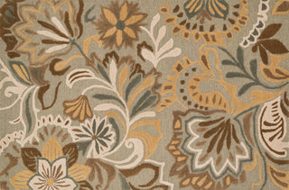 Loloi Ashford HAS04 Sage / Multi Area Rug aerial 5 x 7-6