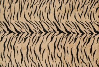 Loloi Danso Shag DA-03 Tiger Area Rug aerial 5 x 7-6