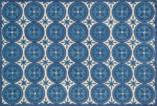 Loloi Taylor HTY12 Ivory / Blue Area Rug aerial 5 x 7-6