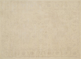 Loloi Journey JO-06 Ant Ivory / Beige Area Rug aerial 7-6 x 10-5