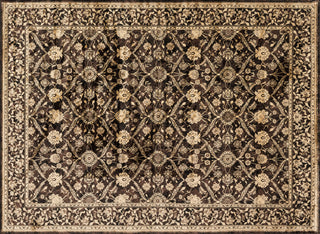 Loloi Mystique MY-06 Expresso Area Rug 7'7'' X 10'5''
