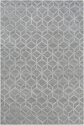 Surya Arete AET-1004 Neutral/Grey Area Rug main image