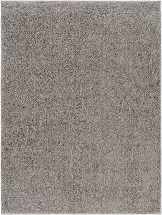 Surya Alfombra AFB-2302 Area Rug main image