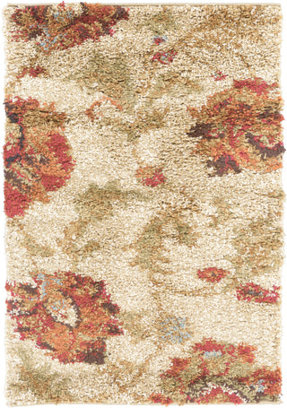 Surya Alfredo AFR-3300 Beige Area Rug 2' x 3'