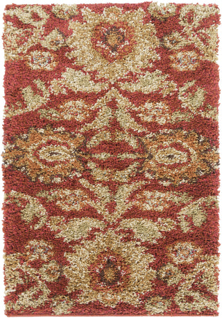 Surya Alfredo AFR-3315 Area Rug 2' X 3'