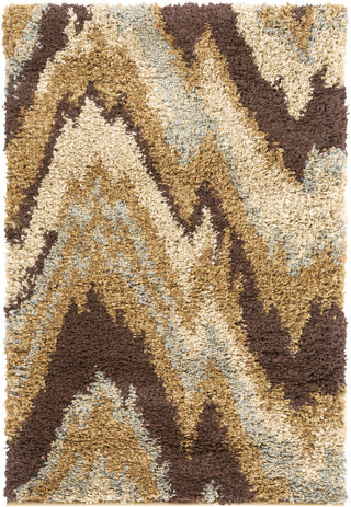 Surya Alfredo AFR-3322 Chocolate Area Rug 2' x 3'