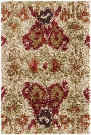 Surya Alfredo AFR-3335 Area Rug 2' X 3'