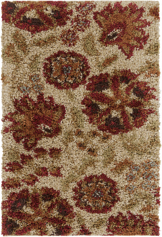 Surya Alfredo AFR-3336 Area Rug 2' X 3'