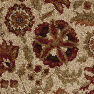 Surya Alfredo AFR-3336 Area Rug Sample Swatch