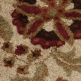 Surya Alfredo AFR-3336 Area Rug Sample Swatch