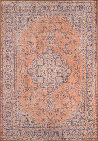 Momeni Afshar AFS11 Copper Area Rug main image