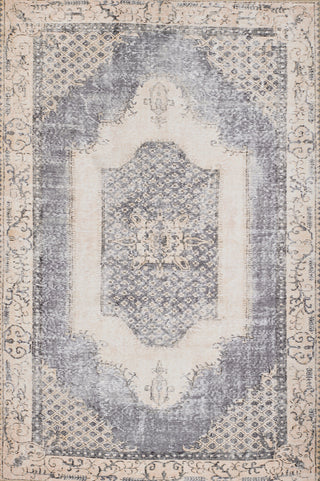 Momeni Afshar AFS35 Denim Area Rug main image