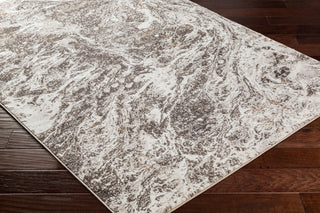 Surya Allegro plus AGP-2300 Area Rug Corner Shot