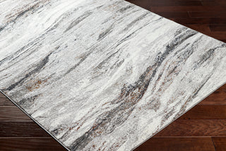 Surya Allegro plus AGP-2307 Area Rug Corner Shot